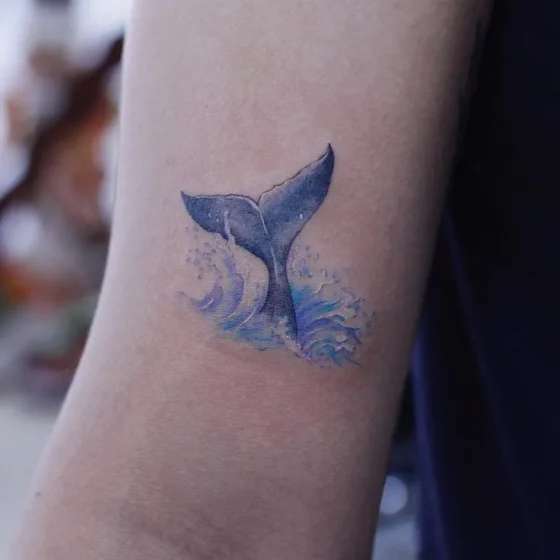 Dolphin Tail