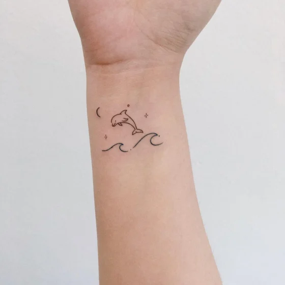 fine line dolphin