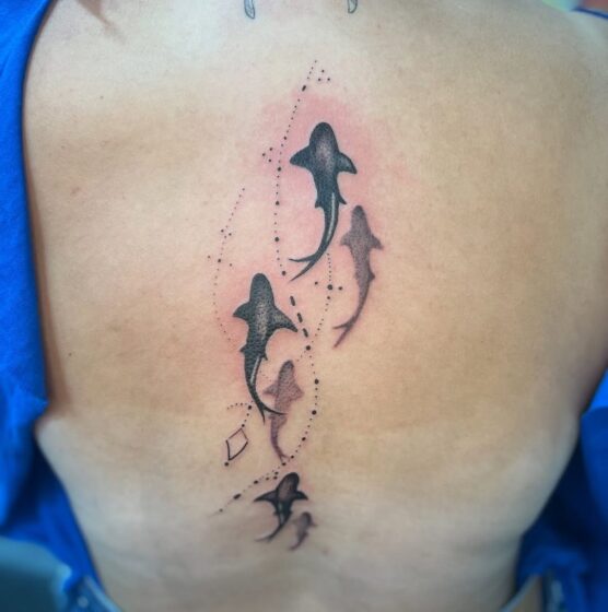 Minimalist Dolphin Jump
