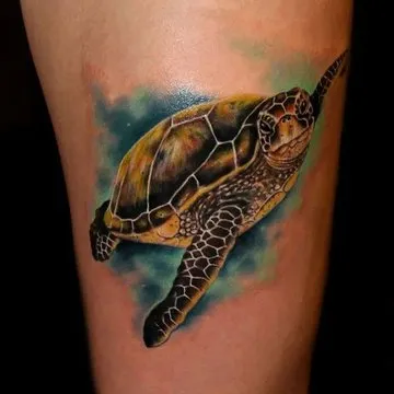 3D Realistic Turtle
