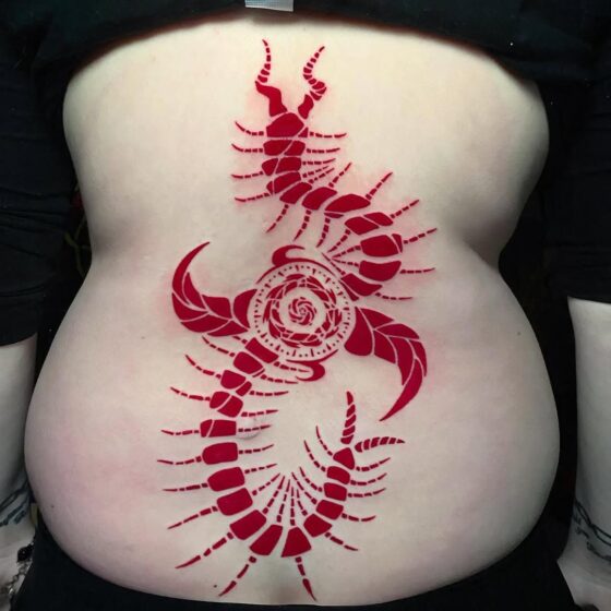 Centipede Coiled Around Red Eye