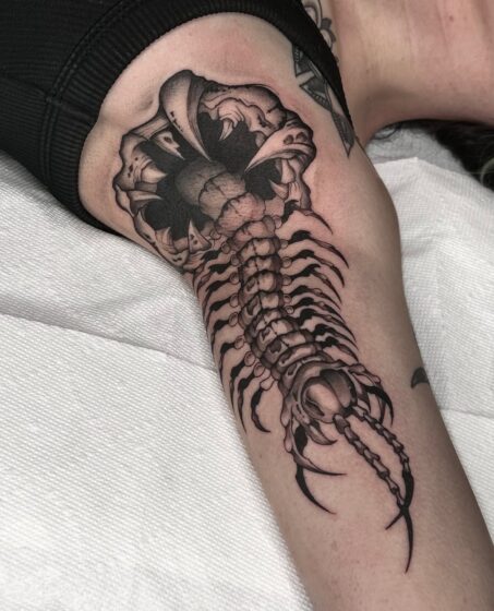 Centipede Emerging from Skin