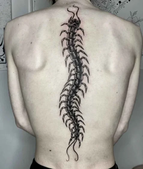 Crawling Centipede on Spine