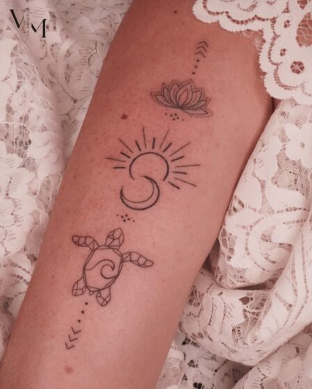 Crescent Moon Turtle