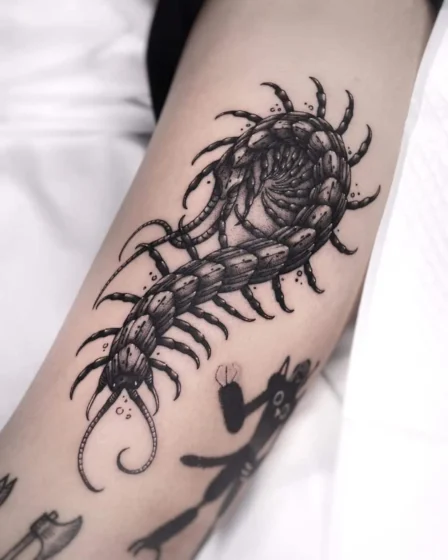 Dark Aura Centipede Design