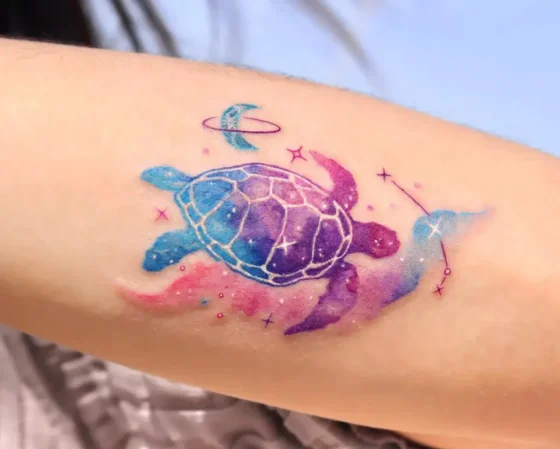 Galaxy Shell Turtle