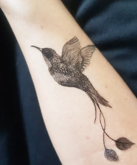 Hummingbird with Feather Trail