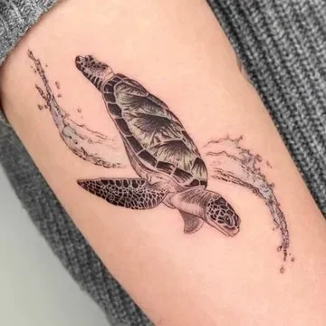 Ocean Wave Turtle
