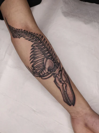 Orca Skeleton Tattoo