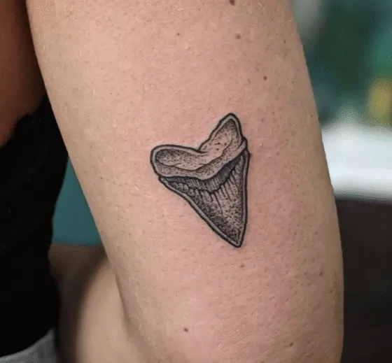 Shark Tooth Tattoo