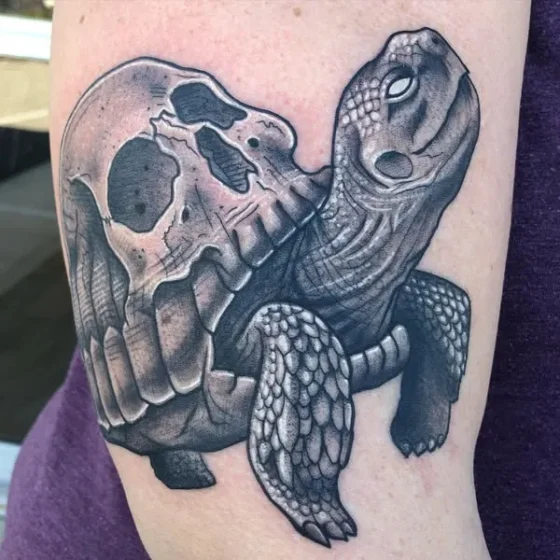 Skull-Backed Turtle