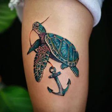 Turtle With Anchor