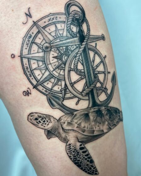 Turtle with Compass Shell