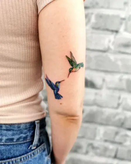 Two Hummingbirds Flying Together
