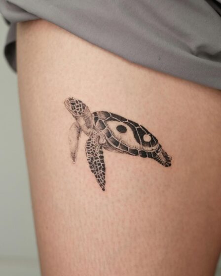 Yin Yang Turtle Design