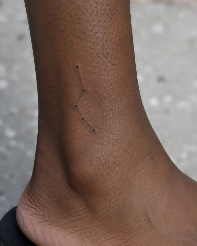 Zodiac Constellation