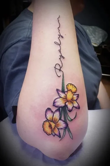 Script and Daffodil Combo