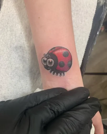Cute Cartoon Ladybug