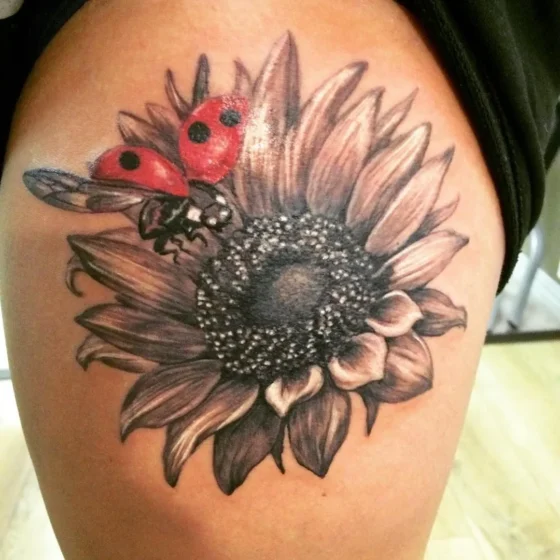Ladybug and Sunflower