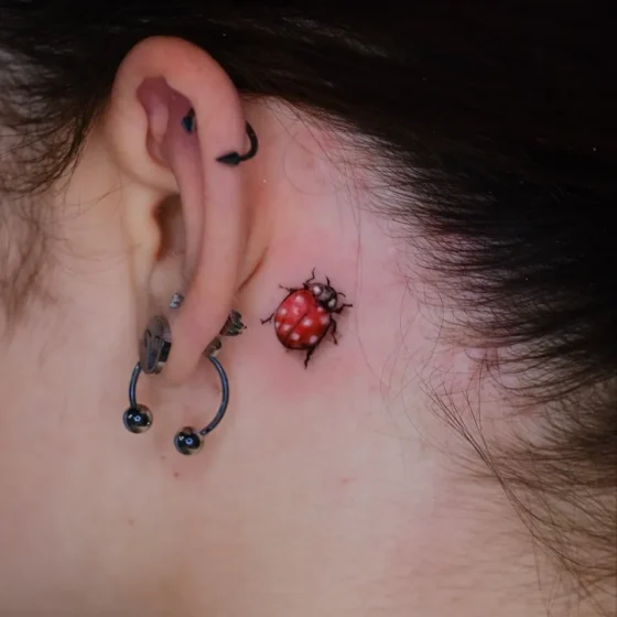 Micro Ladybug Behind the Ear