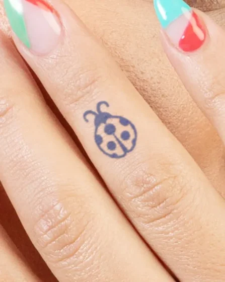 Tiny Ladybug on Finger
