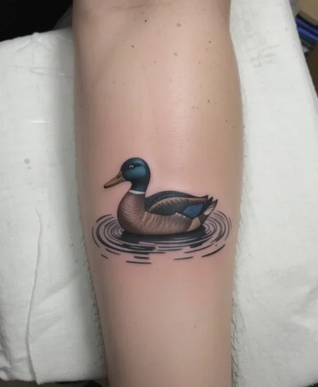 Duck Floating on Calm Water