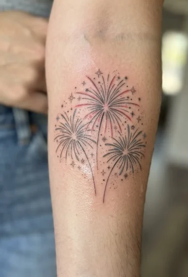 Fourth of July Style Firework Trio