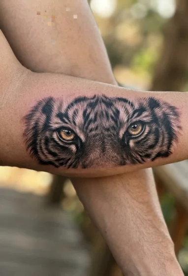 Tiger Eyes Close-Up