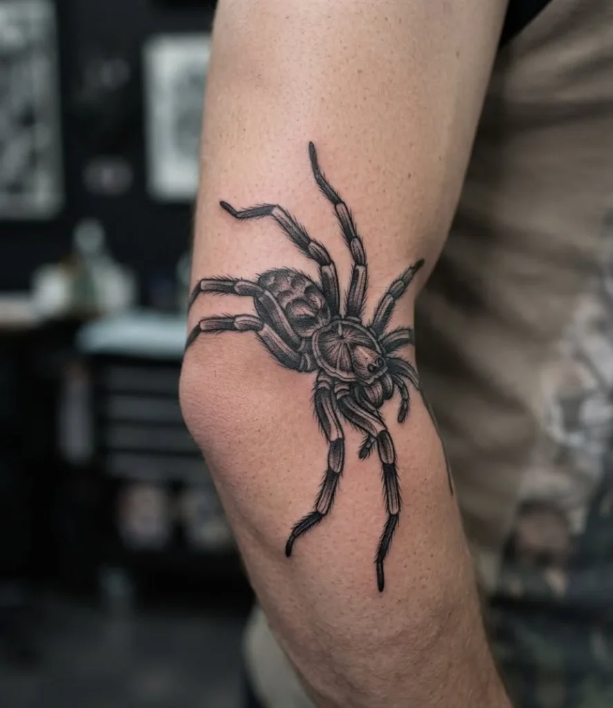 Spider Gripping the Elbow