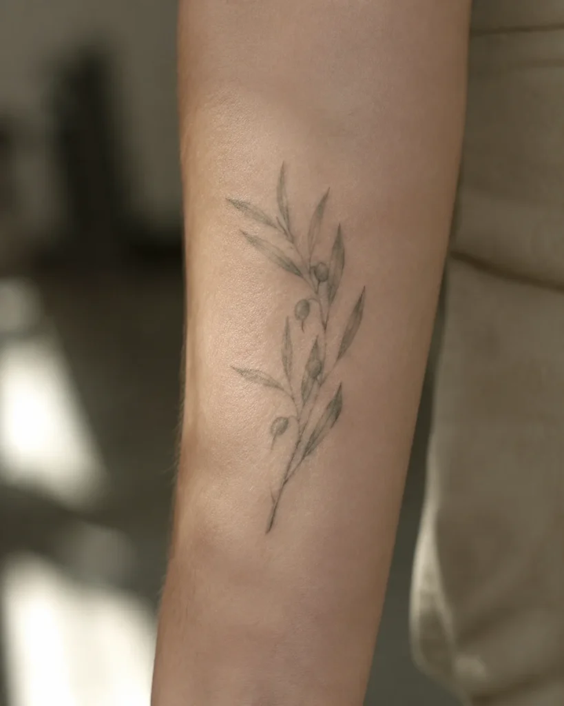 Delicate Olive Branch