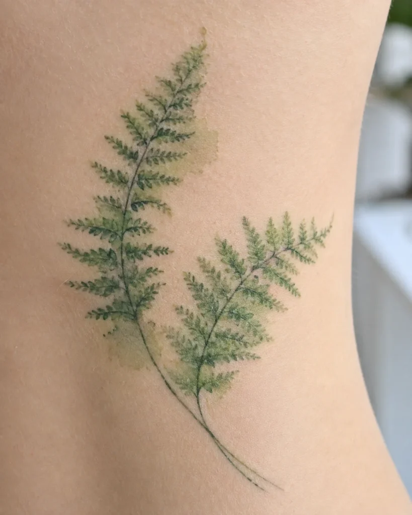 Soft Watercolor Ferns